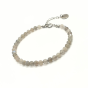 BD305 (2).png
